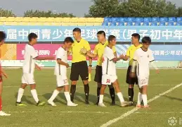 九游体育-皖江黑豹队对阵关中鲸鲨队,柔道巡回赛读秒绝平,门将神扑救主——球迷期待下一战